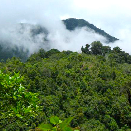 Welcome to Honduras | Asociación Hondureña de Maquiladores