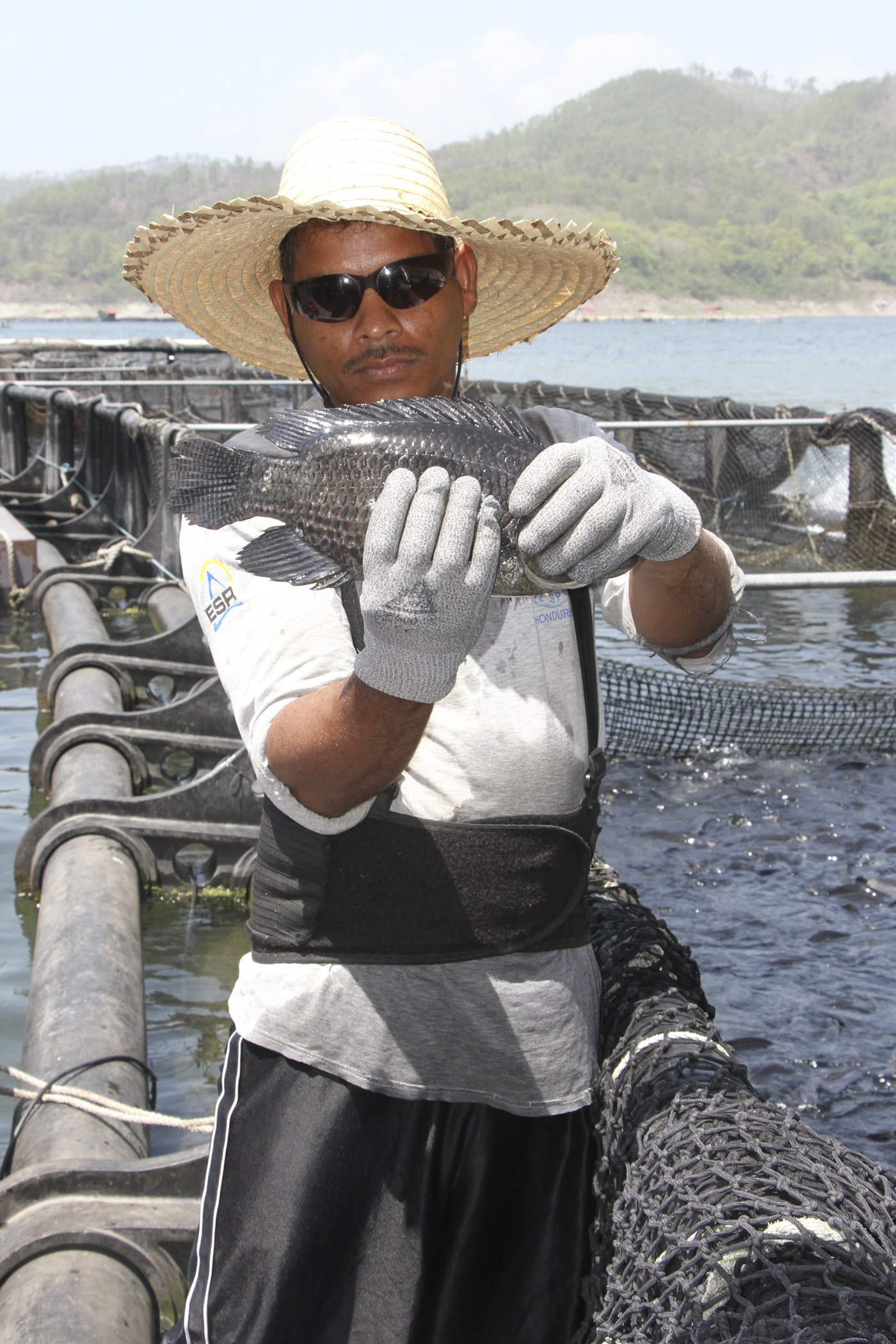 ESTO TAMBIÉN ES MAQUILA: LA DIVERSIDAD INDUSTRIAL QUE IMPULSA A HONDURAS