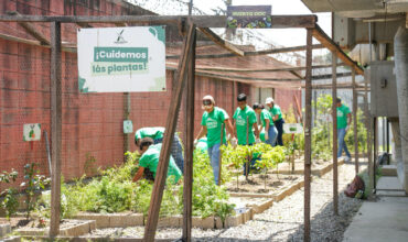 Gildan impulsa jornada de reforestación en San Pedro Sula durante el Mes de la Tierra